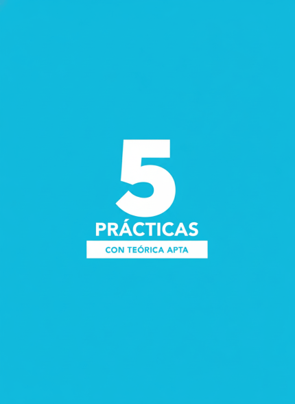 5_practicas_carnet_b_con_teorica_apta
